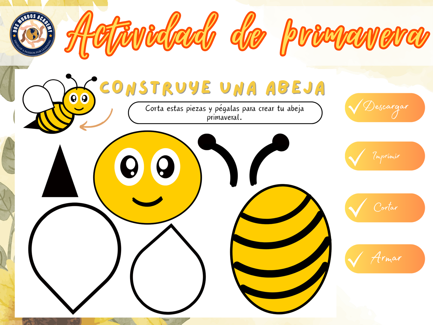 🌸 Build an Insect Package – Spring Special! 🐞