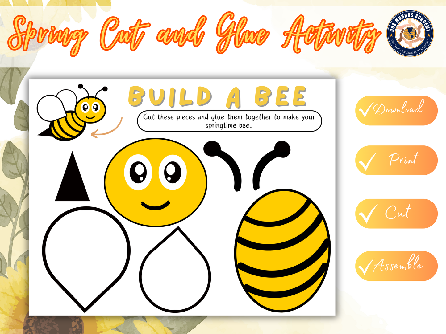 🌸 Build an Insect Package – Spring Special! 🐞