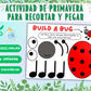 🌸 Build an Insect Package – Spring Special! 🐞