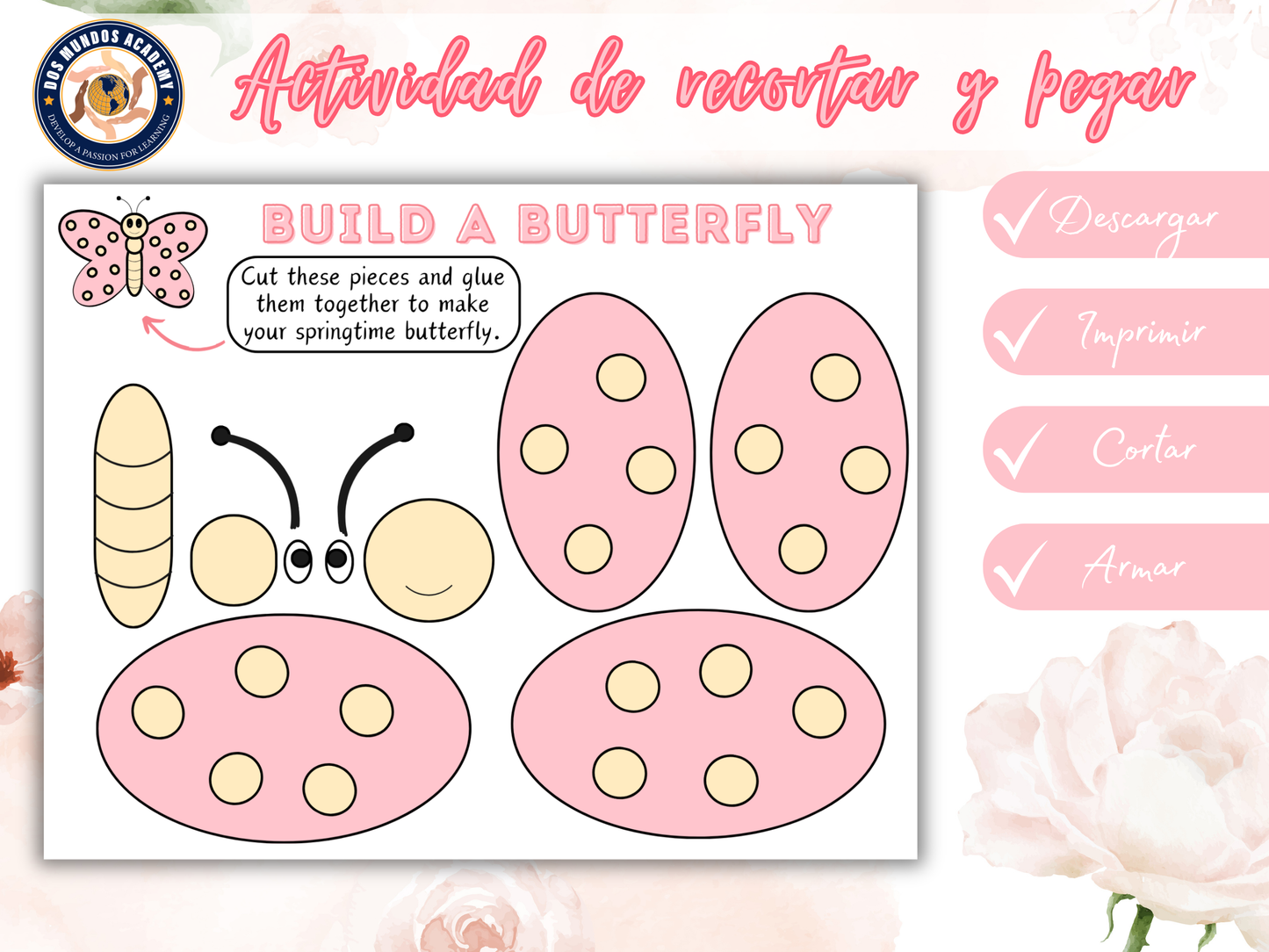 🌸 Build an Insect Package – Spring Special! 🐞