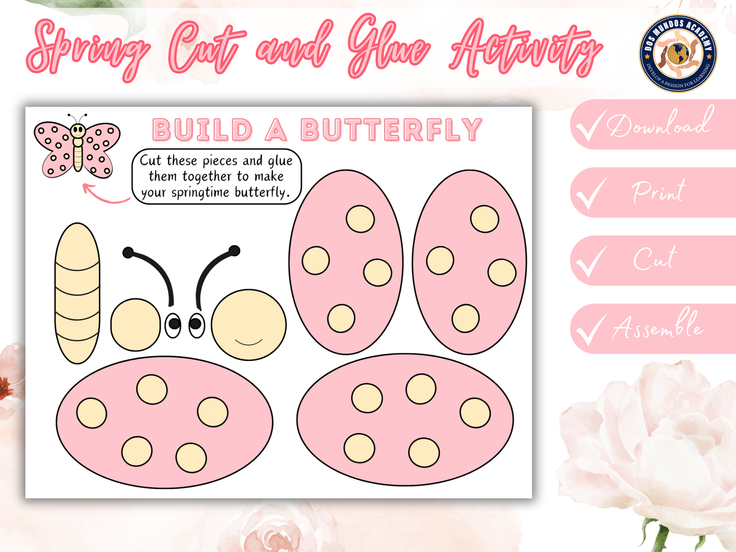 🌸 Build an Insect Package – Spring Special! 🐞
